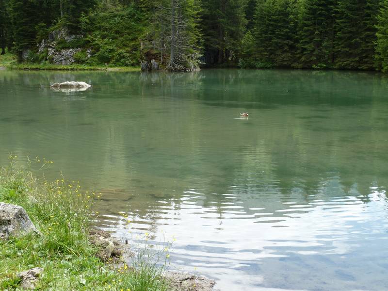 n_29 auch ein Almsee.jpg